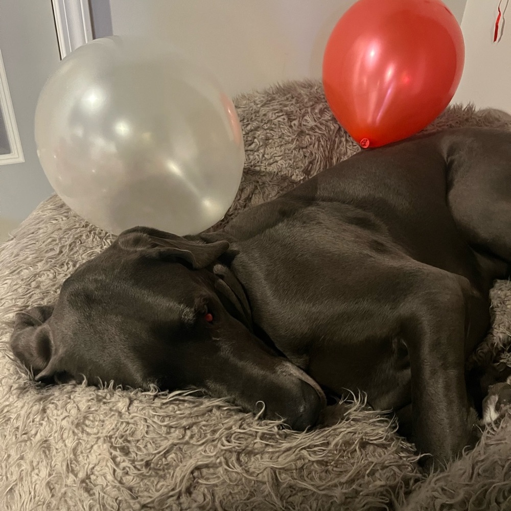 Meet your Posher, Adreana